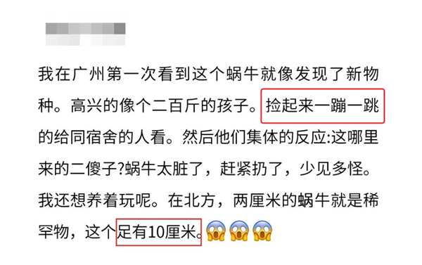 下雨后在路边看到这种动物千万别碰：立刻弄死它！