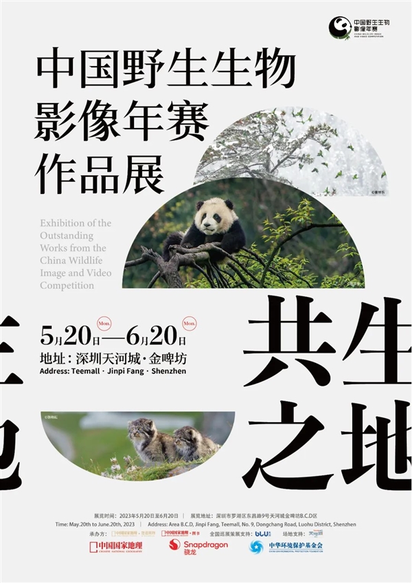 骁龙影像旗舰“百花齐放”:哪一款是你的菜?