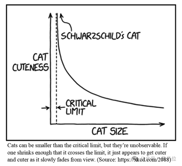 猫主子的运动方程 首次被物理学家破解！