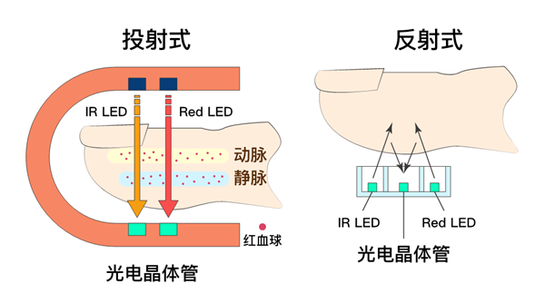 血氧仪都被抢断货了 但我劝你买之前冷静点