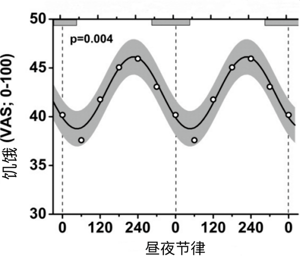 一到晚上就饿：狂想吃东西 还有救吗