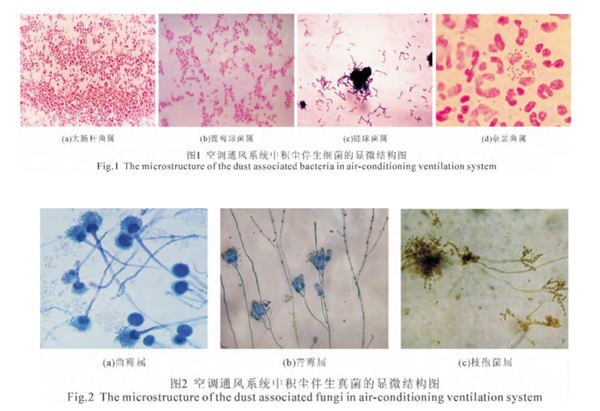 夏天吹空调 缺了这一步 真的容易吹出病！