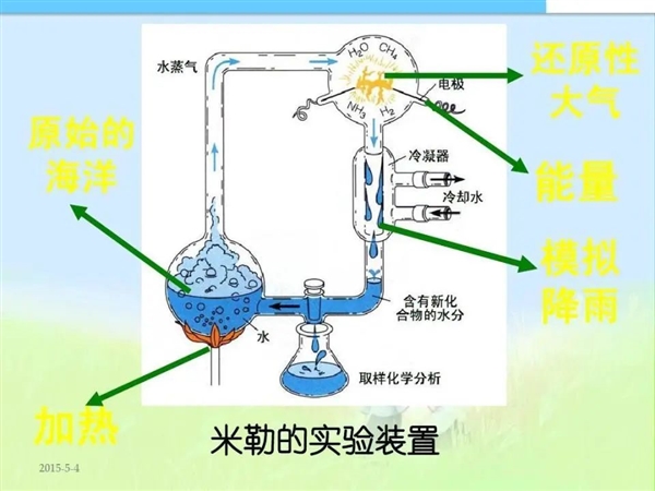 地球生命到底怎么起源的？基因？还是细胞？