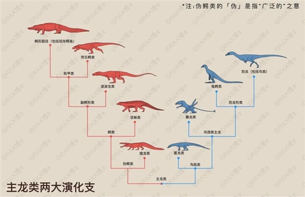 神奇！有些雌性动物 不用交配也能生