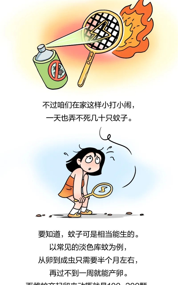 今天是世界蚊子日：能不能把蚊子“赶尽杀绝”？