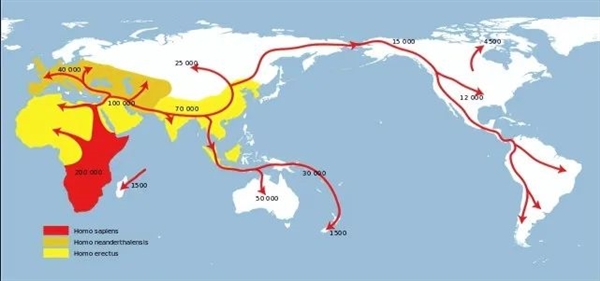 奇闻：为了保护疫苗 200多年前 竟然用孤儿活体运输