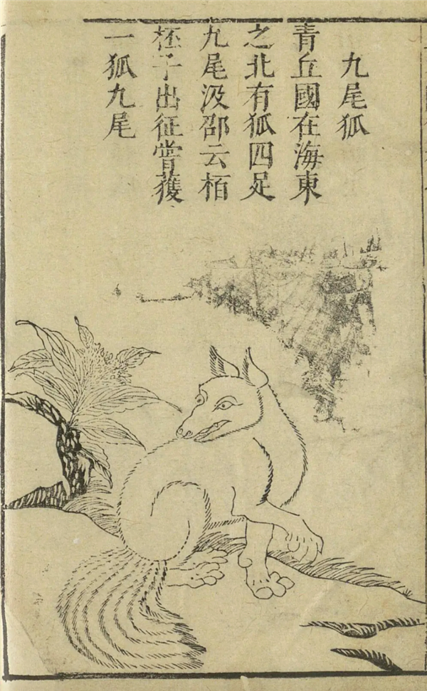 都是九尾狐 《封神》里的妲己会认识《长相思》的涂山璟吗？