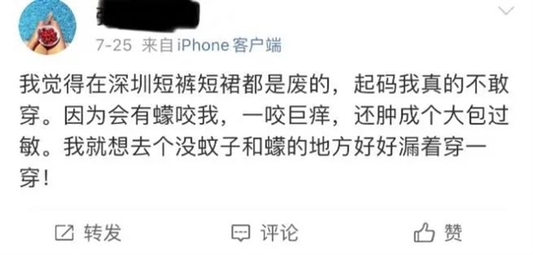 最近多人中招！身上突然不明原因痒一下、又红又肿：被它咬的