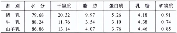 每公斤接近1.7万！猪奶奶酪卖出天价 但我们为啥不喝猪奶