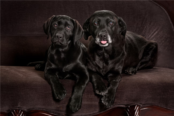 克隆人已经偷偷有了14个?现在咋样了?(图6) 克隆人已经偷偷有了14个?现在咋样了?