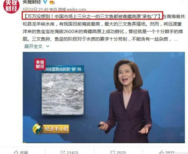 新疆三文鱼远销上海大连等地：离海最远的地方为啥盛产“海鲜”？