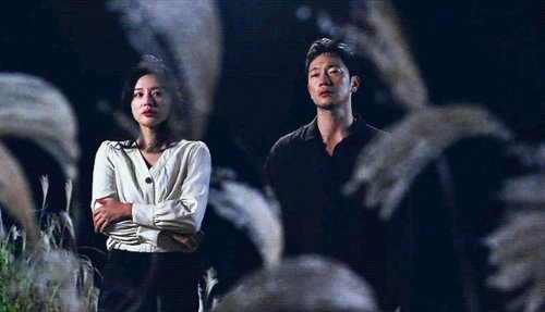 《黑暗荣耀》爆火!宋慧乔入围韩国百想艺术大赏视后