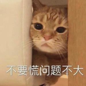 一觉睡醒 AI破解验证码的速度比我还快了？