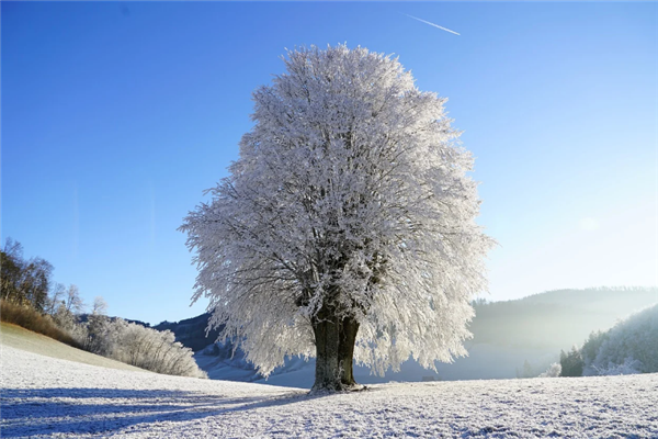 最冷时刻来了！中央气象台暴雪+寒潮+冰冻+大风四预警齐发