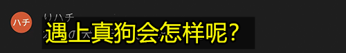 比真狗还狗：日本老哥花300万把自己改装成了狗