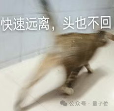 猫主子的运动方程 首次被物理学家破解！