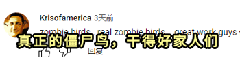 把死鸟尸体改造成无人机:这是用亡灵科技制作生物间谍?