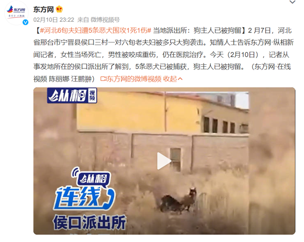 六旬夫妇遭恶犬围攻1死1伤 遇到怎么自救:网友热议为何不全面禁止养狗?