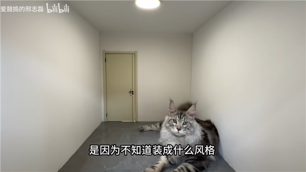 民间大神给猫做了个房子：人类楼房等比例缩小 水电都通