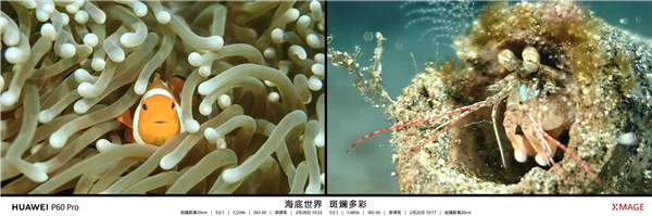 华为P60 Pro拍照秒所有:七大全球第一!拍月亮更神了