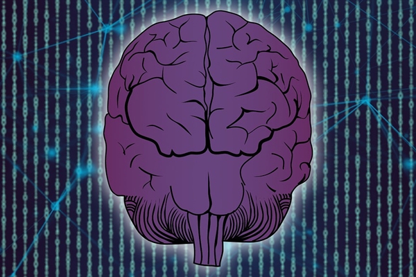 超级大脑！美国科学家用8万鼠脑细胞造活体计算机
