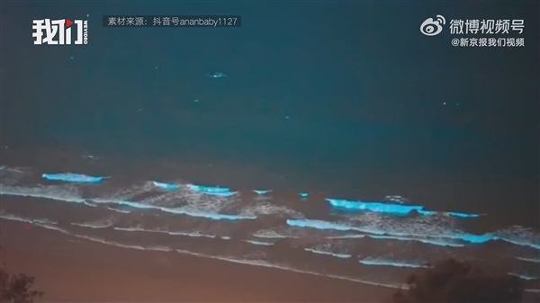 广东海陵岛海滩连日现“蓝眼泪”：3mm微生物的盛宴