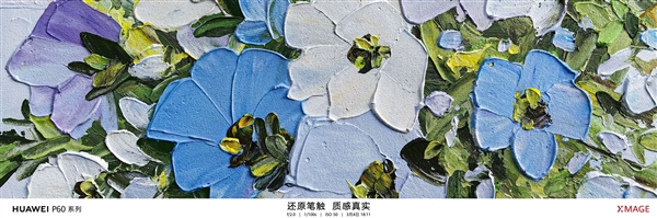华为P60 Pro拍照秒所有:七大全球第一!拍月亮更神了