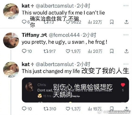 中式英语成海外爆梗 老外折服：you swan he frog