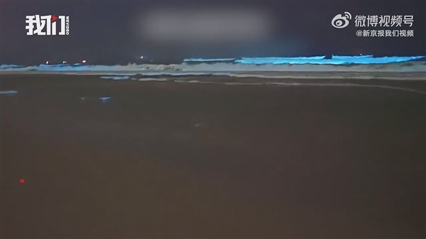 广东海陵岛海滩连日现“蓝眼泪”：3mm微生物的盛宴
