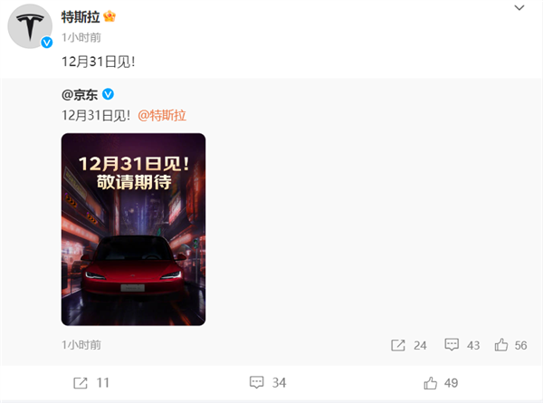 特斯拉能网购了么 京东官宣12月31日见