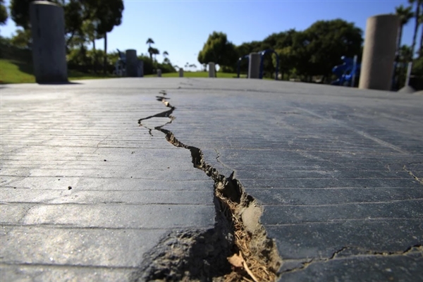 小狗在上海深夜地震前狂叫：提前感知到了地震波