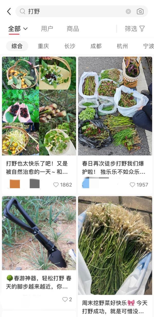 大妈连吃7天野菜吐 血晕厥！医生提醒：千万别自行挖野菜食用