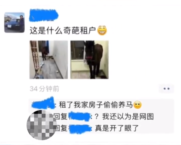 租客跟房东说养宠物结果是匹马 发现时房间堪比垃圾场