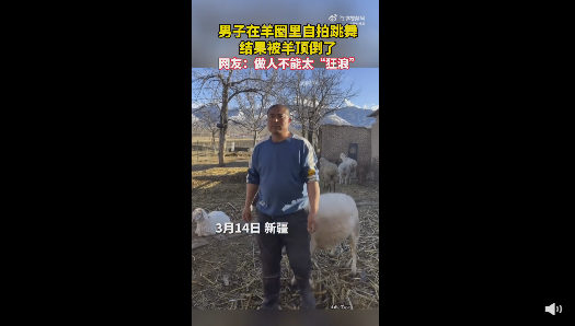 男子镜头前嗨舞被羊顶翻 网友看完大笑:做人不能太狂浪