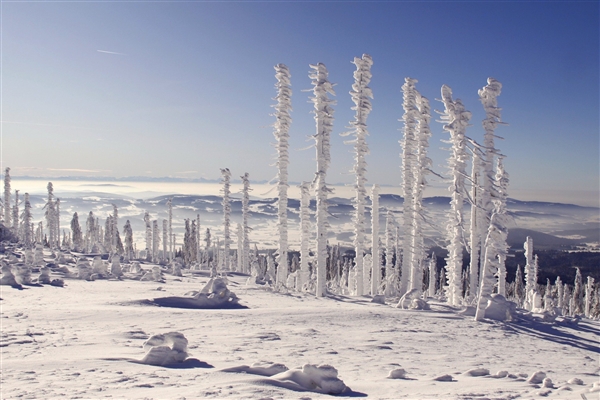 暴雪橙色预警！东北这次强降雪下到发紫：局地积雪可达25厘米