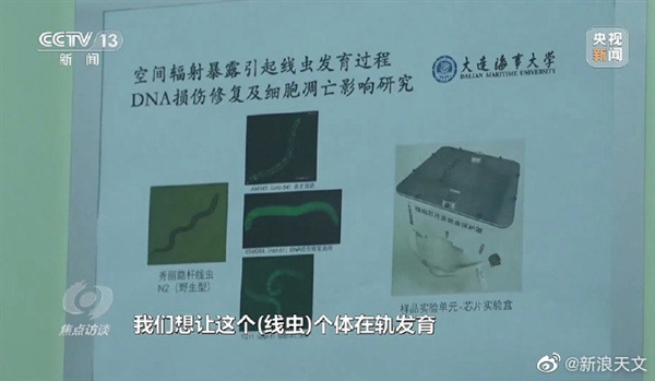 顺利交付!神十五航天员带回了20多公斤实验样品:竟有一种虫子