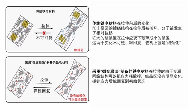 我国科学家率先打造出弹性铁电材料：或能让手机任意弯折