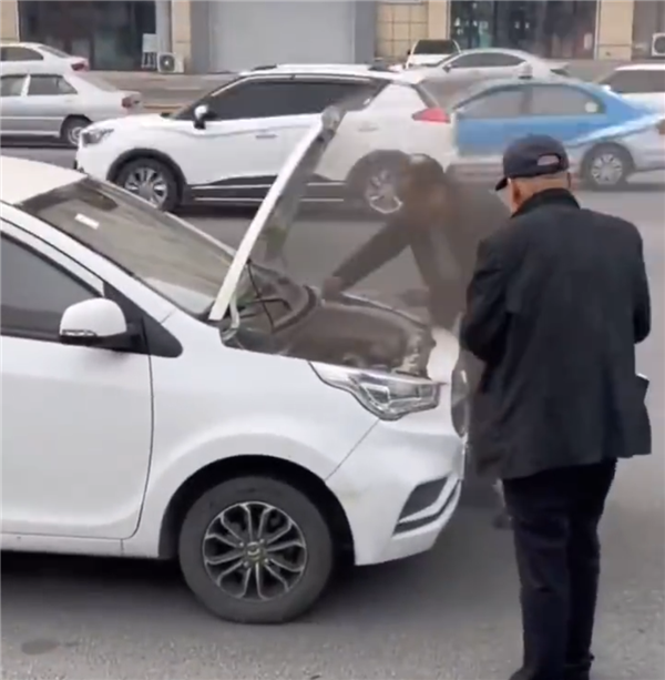 老头乐起火引燃路边大众轿车 网友:电动车消灭传统燃油车