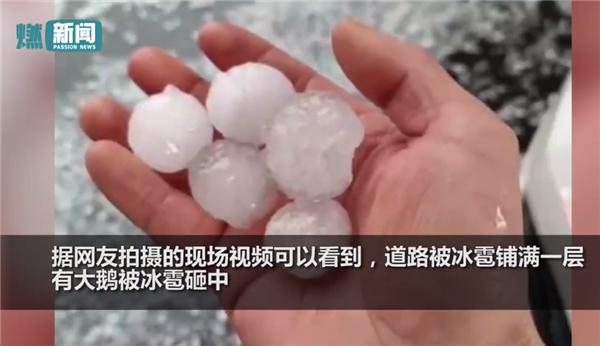 湖南多地下冰雹 大鹅暴雨中被砸:道路被冰雹铺满一层