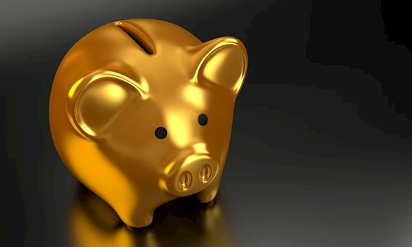 多年前买的熊猫金币涨了800元:有人8斤黄金变现174万