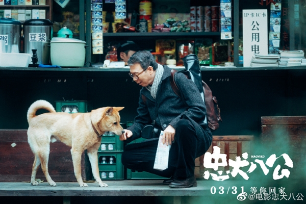 电影《忠犬八公》定档3月31日:中华田园犬八筒软萌登场