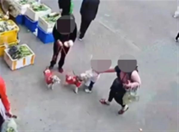 2岁女童摸狗意外被咬 狗主人被吐槽不赔偿不道歉:网友吵翻就不该养狗?