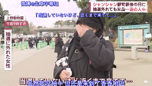 旅日大熊猫香香坐顺丰飞机到家!1个月后与公众见面