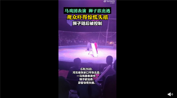 马戏团狮子表演时欲出逃 观众被吓跑：现场一片恐慌 最终没人受伤