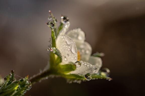 女子暴雨后突发哮喘：呼吸困难 面部肿胀睁不开眼