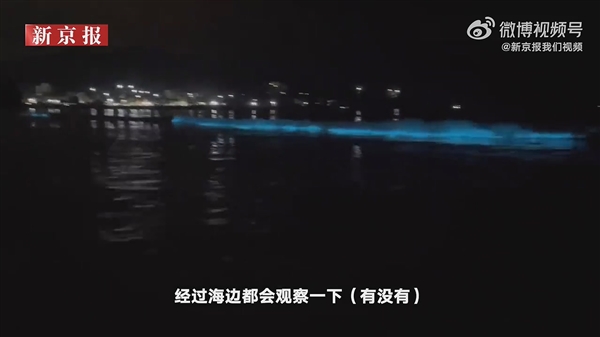广东海陵岛海滩连日现“蓝眼泪”：3mm微生物的盛宴