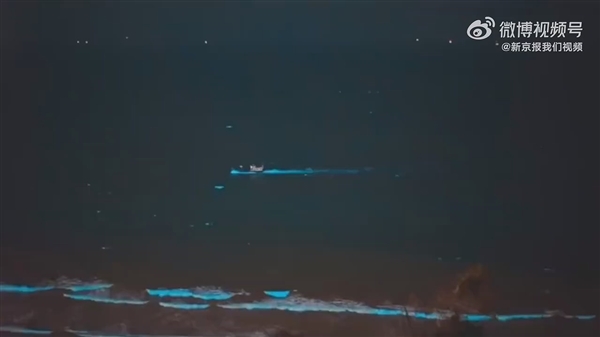 广东海陵岛海滩连日现“蓝眼泪”：3mm微生物的盛宴