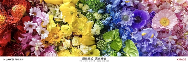 华为P60 Pro拍照秒所有:七大全球第一!拍月亮更神了