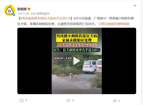 男孩被狗抓伤患狂犬病20天后死亡 医生:狂犬病致死率几乎100%