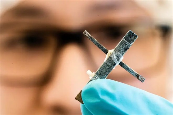 全球首个木质晶体管出世:长约3厘米 可承受高电流冲击